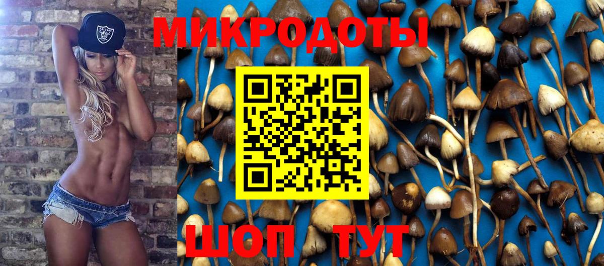 Серов  Псилоцибиновые грибы GOLDEN TEACHER  Псилоцибиновые грибы GOLDEN TEACHER  Вход с VPN 